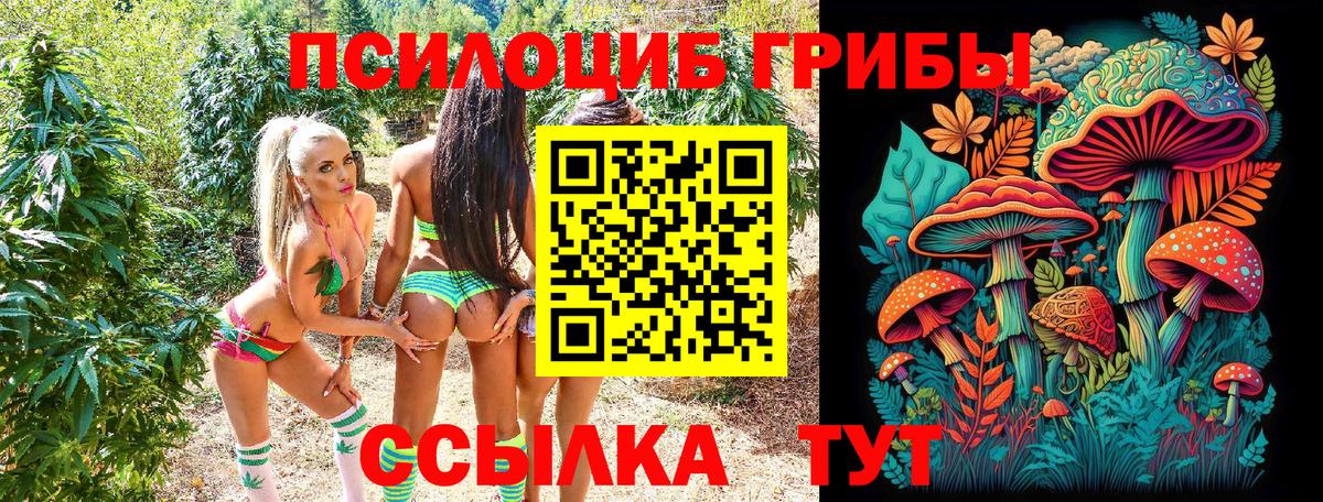 Канабис  КОКАИН  NBOMe  Alpha PVP СК   Гашиш  Гай  Вход с VPN  Метамфетамин  Меф МЯУ МЯУ кристаллы 