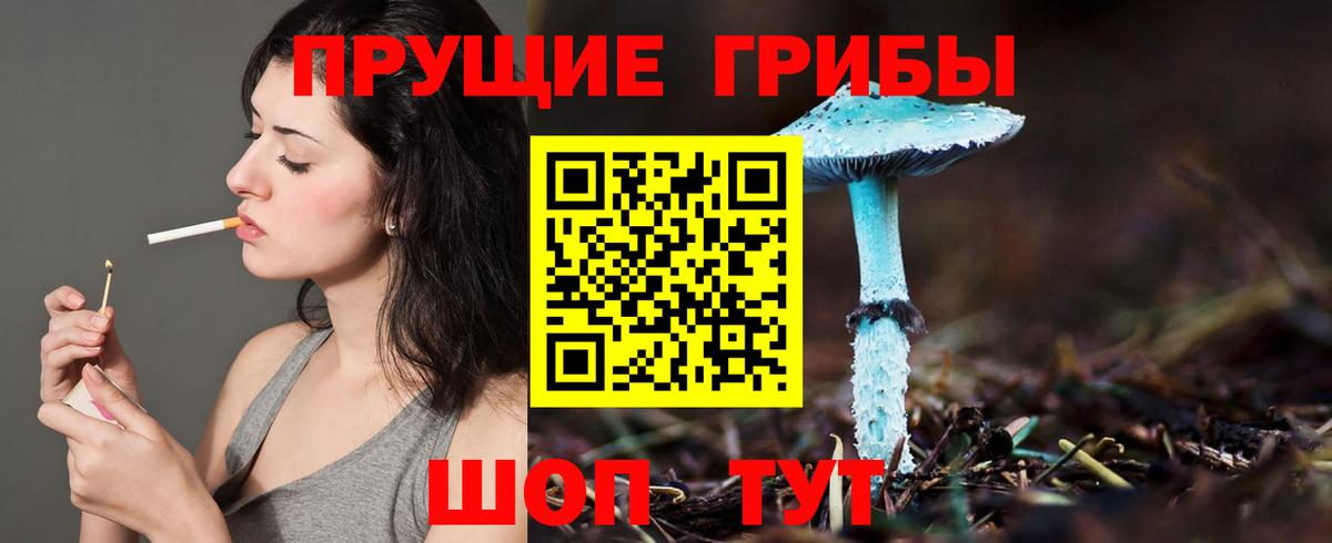 Гай  Псилоцибиновые грибы MAGIC MUSHROOMS  Вход с VPN 